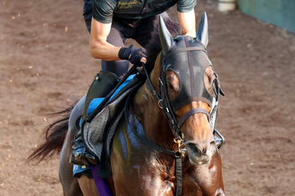 【オーバルスプリント】川田将雅騎手のダノンフィーゴは１枠１番　歴代最多５勝の戸崎圭太騎手のインユアパレスは３枠３番