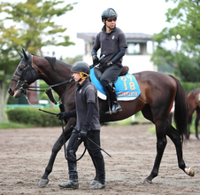 【注目馬動向】オールカマー１１着のコスモキュランダは２年連続で天皇賞・秋参戦へ