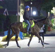 【注目馬動向・２歳】ダリア賞２着のアンムート、同３着のカレンハウはもみじＳへ