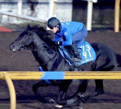 【注目馬動向】京都大賞典４着のディープモンスターは予定通りブリーダーズＣターフへ　鞍上はトム・マーカンド騎手