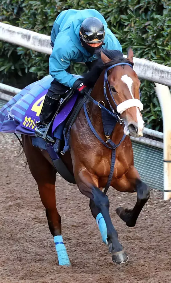 【朝日杯ＦＳ】カヴァレリッツォは５８秒０の遅い時計も吉岡厩舎流　吉岡調教師「非常によかったです」