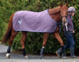 【有馬記念】ダノンデサイルは落ち着き十分　安田調教師「レースへ向けてなだめるための調教をしました」