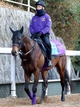【シルクロードＳ】ロードフォアエース「素軽くなりました」　坂路を力強く駆け上がる　友道調教師手応え