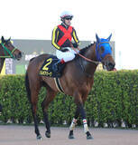 「【アネモネＳ】１番人気バルボアパークは３着で桜花賞の切符を逃す　ルメール騎手「ゲート裏でエキサイト」」の画像1