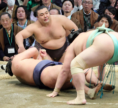 霧島が２０２３年九州場所以来、３度目の優勝　安青錦に敗れるも、３敗の豊昇龍、琴勝峰も黒星で決定