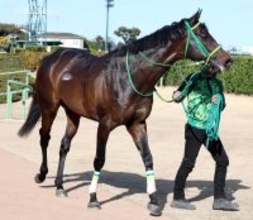 【ダービー卿ＣＴ】前走自己ベストタイの時計で快勝した６歳馬メタルスピード　「あの時計で走れるとは」と陣営も驚き