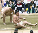 「【大相撲春巡業】３０歳誕生日の大関・霧島、横綱・豊昇龍らと計１４番…藤ノ川も合流」の画像1