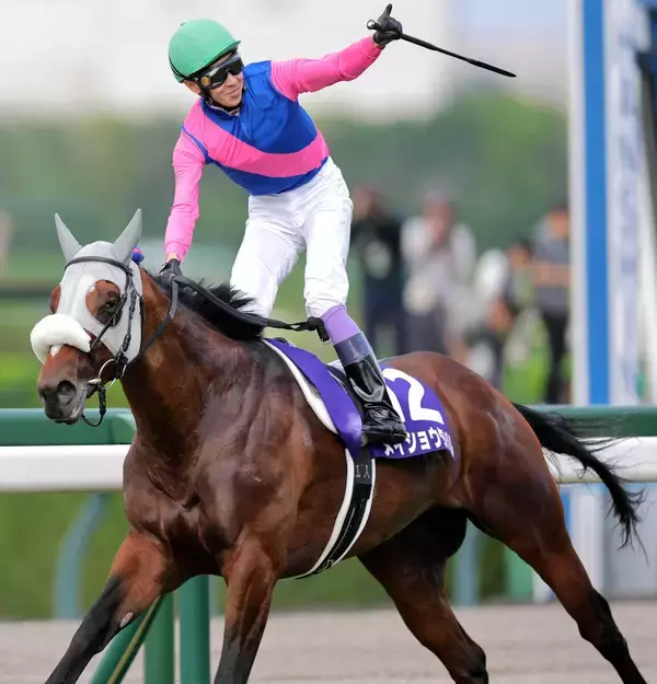 メイショウタバルは凱旋門賞挑戦を視野　武豊騎手も「実現したらうれしい。雨は心配いらんもんね」と期待