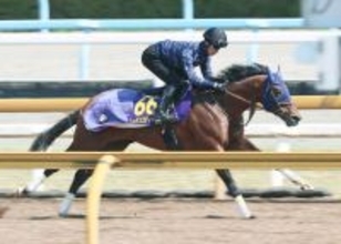 【注目馬動向】大阪杯６着のレーベンスティールは安田記念への出走を検討　キャロットクラブが発表