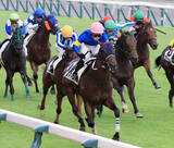 「令和８年８月８日　競馬で枠連（８）－（８）決着は？　佐賀競馬で飛び出した衝撃の８Ｒ、馬番８、８番人気のＶ」の画像1