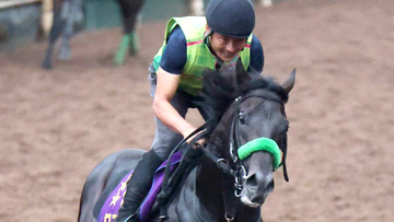 【神戸新聞杯】当然！？２冠馬ロブチェンが１・２倍で一本かぶり！　８・８倍でグリーンエナジーが続く　前日最終オッズ