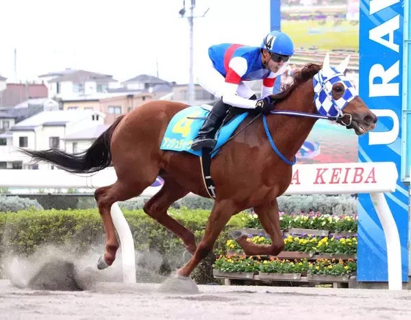 【浦和競馬】母は南関東牝馬クラシック２冠のケラススヴィア　アンジュディーヴァが６馬身差完勝