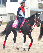 【アルテミスＳ】直線失速に坂井瑠星騎手は「反応が無かった」リスグロワールは８着　名牝リスグラシューとの母子制覇ならず　