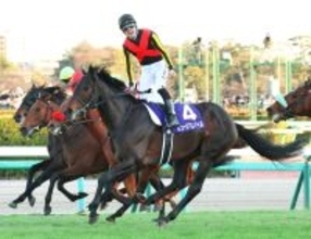 【ＪＲＡ賞】“三つどもえ”予想の最優秀３歳牡馬はミュージアムマイルが圧倒　唯一のＧ１・２勝が高評価