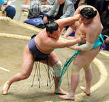 「豊昇龍、連勝スタートも「気にしてない」」の画像1