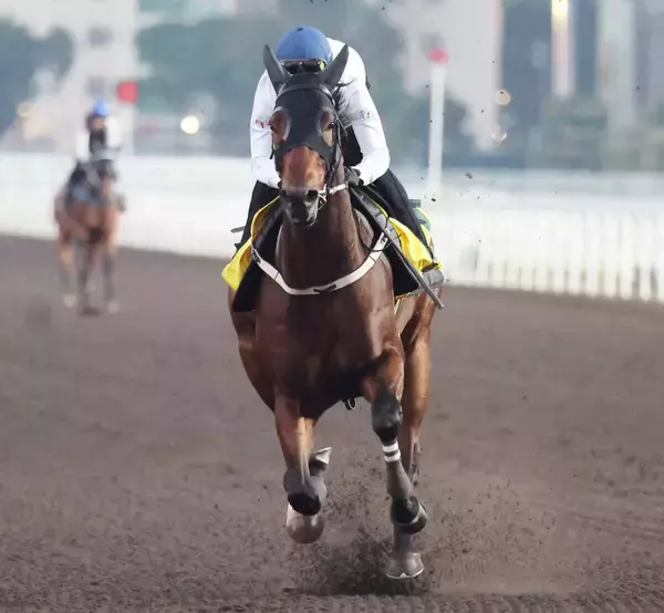 【香港・センテナリーＳＣ】カーインライジングが１７連勝　サイレントウィットネスの連勝記録に並ぶ