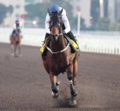 【香港・センテナリーＳＣ】カーインライジングが１７連勝　サイレントウィットネスの連勝記録に並ぶ