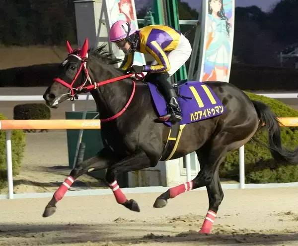 【佐賀・飛燕賞】ハクアイドゥマンが待望の重賞初勝利　石川慎将騎手「打倒サキドリトッケンで頑張りたい」