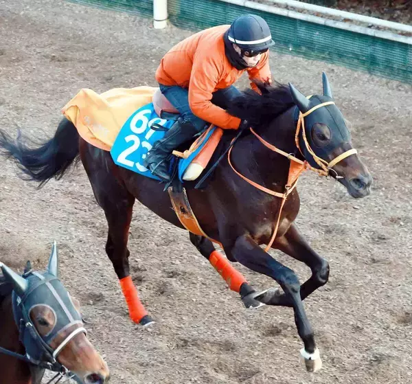 馬トクスタッフが選ぶ日曜の買うべき３頭　ＡＩ展開予想で導き出された小倉大賞典の本命は先行馬