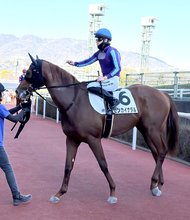 【阪神４Ｒ・３歳新馬】現３歳世代ラストの新馬戦はゼンカイナダルがＶ　西村淳也騎手「今後が楽しみです」