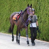 「【注目馬動向】ヴィクトリアマイルに向かうジョスランが戸崎圭太騎手と新コンビ　５月１日に帰厩予定」の画像1