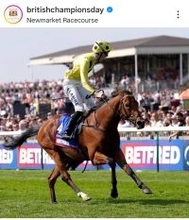 【英２０００ギニー】「若き天才」「ムーアに競り勝つ凄くねーか」２０歳の超新星ロックネイン騎手が英クラシック初制覇