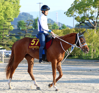 【オークス】今村聖奈騎手と挑むジュウリョクピエロが前走以上の気配　陣営「体つきにメリハリが出てきました」