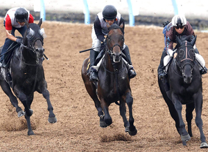 【ラジオＮＩＫＫＥＩ賞】キンググローリー逆襲へ迫力十分　古賀慎調教師「うまくここで挽回してくれれば」