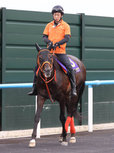 【函館記念】武豊騎手とコンビのケイアイセナは７歳でもいまがピーク！　陣営は「行った方がいいと思います」と逃げ宣言