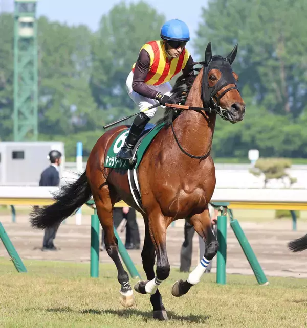【注目馬動向】新潟大賞典４着のドゥラドーレスはアルゼンチン共和国杯で復帰へ　６月に去勢手術を行ったと発表