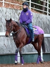 【注目馬動向】ラヴェニューは共同通信杯で菅原明良騎手と初コンビ　ホープフルＳは発熱で回避