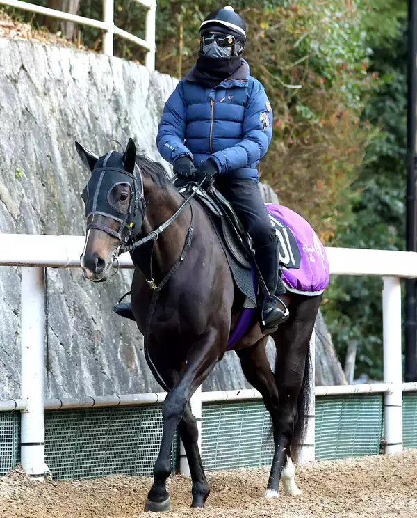 【きさらぎ賞】超高額馬エムズビギンは２枠２番　コントレイル産駒重賞初Ｖを狙うゴーイントゥスカイは４枠４番に　