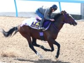 【フェブラリーＳ】ナチュラルライズはメンコを外して最終調整　横山武史騎手「多少なりとも反応はマシに」