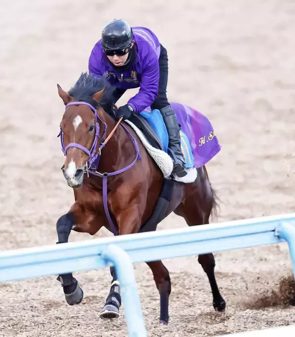 ディマイザキッドは菅原明良騎手と新コンビで金鯱賞へ　美浦・清水英克厩舎勢の次走予定