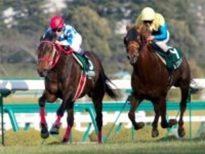 【競走伝】武豊も期待した“最強の善戦マン”…超良血“二刀流馬”の芝重賞初制覇　０４年・アーリントンＣ