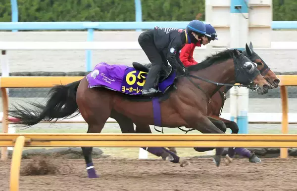 「【Ｇ１トク捜リレー】ベテラン勢の奮闘目立つＧ１戦線　栗東・理貴記者の注目は昨年３着の８歳馬　大阪杯」の画像