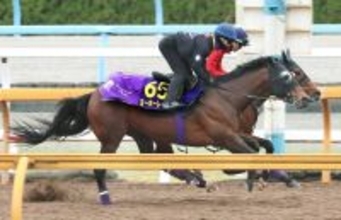 【Ｇ１トク捜リレー】ベテラン勢の奮闘目立つＧ１戦線　栗東・理貴記者の注目は昨年３着の８歳馬　大阪杯