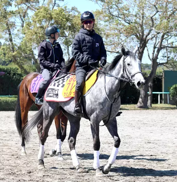 土曜阪神競馬場の注目激走馬…阪神１１Ｒ阪神牝馬ステークス・Ｇ２