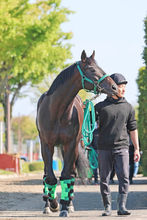 【皐月賞】松山弘平騎手とロブチェンはホープフルＳと同じ２枠４番　陣営「言うことないんじゃないかな」