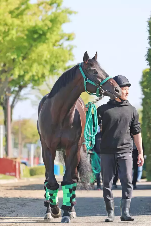 【皐月賞】松山弘平騎手とロブチェンはホープフルＳと同じ２枠４番　陣営「言うことないんじゃないかな」