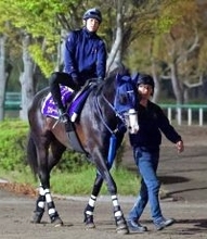 【香港・ＱＥ２世Ｃ】日本中距離界のエース・マスカレードボールが香港の英雄に挑戦　１５日国内最終追い切りで自己ベスト