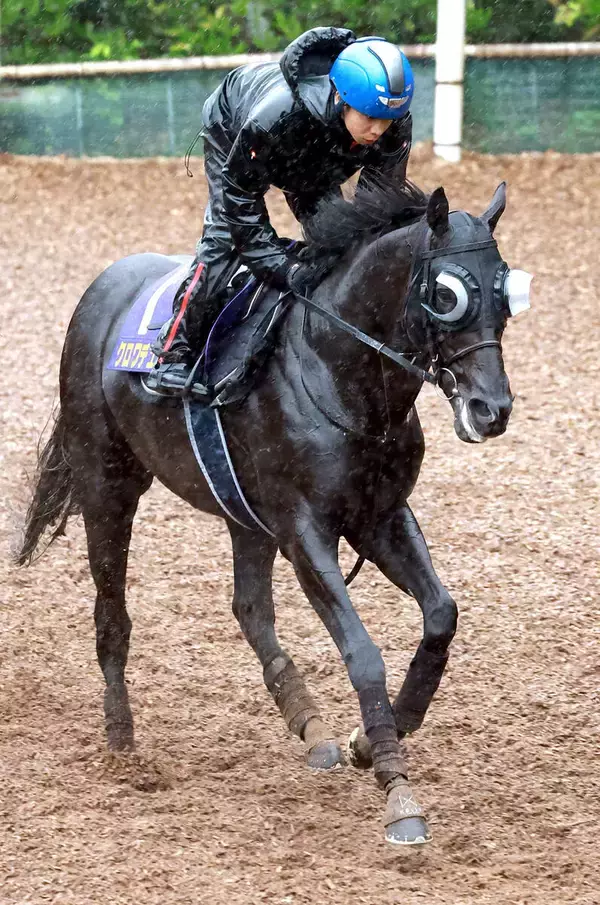 【Ｇ１・１週前まとめ】クロワデュノールが春古馬３冠の偉業へ順調　斉藤崇調教師「息づかいとか大丈夫」　宝塚記念