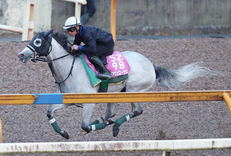 【北九州記念・山下の特注馬】連勝中の３歳馬の勢いに注目　デアヴェローチェが古馬に挑む