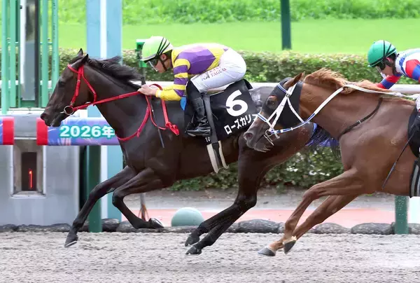 【小倉１０Ｒ・雲仙特別】５年ぶりにＪＲＡレコード更新！ローズカリスが従来の記録を０秒１上回る好タイムで勝利