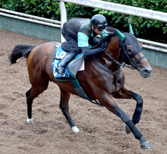 【七夕賞】福島大好き！３戦全勝サヴォーナは前走よりも上昇　中竹調教師「状態自体は全然違うし見た目的にも...」