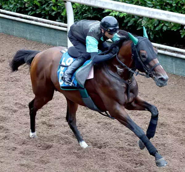 【七夕賞】福島大好き！３戦全勝サヴォーナは前走よりも上昇　中竹調教師「状態自体は全然違うし見た目的にも...」