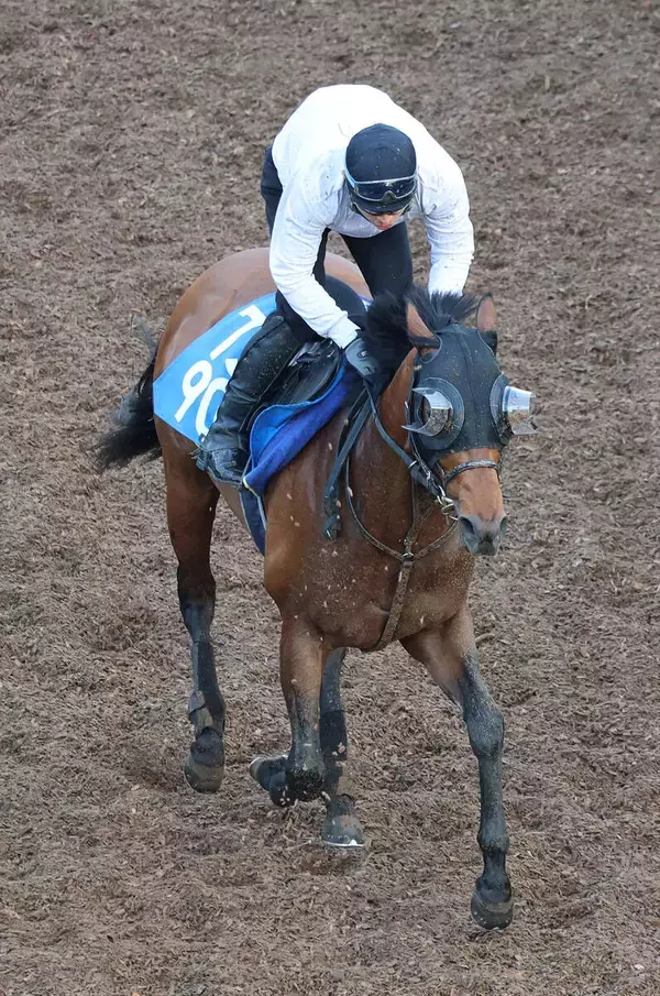 【ＣＢＣ賞】ディアナザールが２度目の挑戦で重賞初Ｖへ　斉藤崇調教師「力を出せれば通用してもおかしくない」