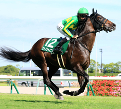 【注目馬動向】中京記念３着のサトノシャイニングは毎日王冠を予定　小倉記念２着のジョバンニはチャレンジＣへ