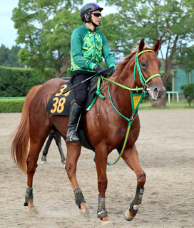 【サウジアラビアＲＣ】怪物候補のデミアンは２枠２番　ルメール騎手のフィリオソラーレは５枠５番に決定