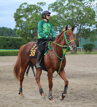 【サウジアラビアＲＣ】痛恨の出遅れ！２・６億円デミアンは９着　斎藤新騎手「道中は少し忙しい感じでした」